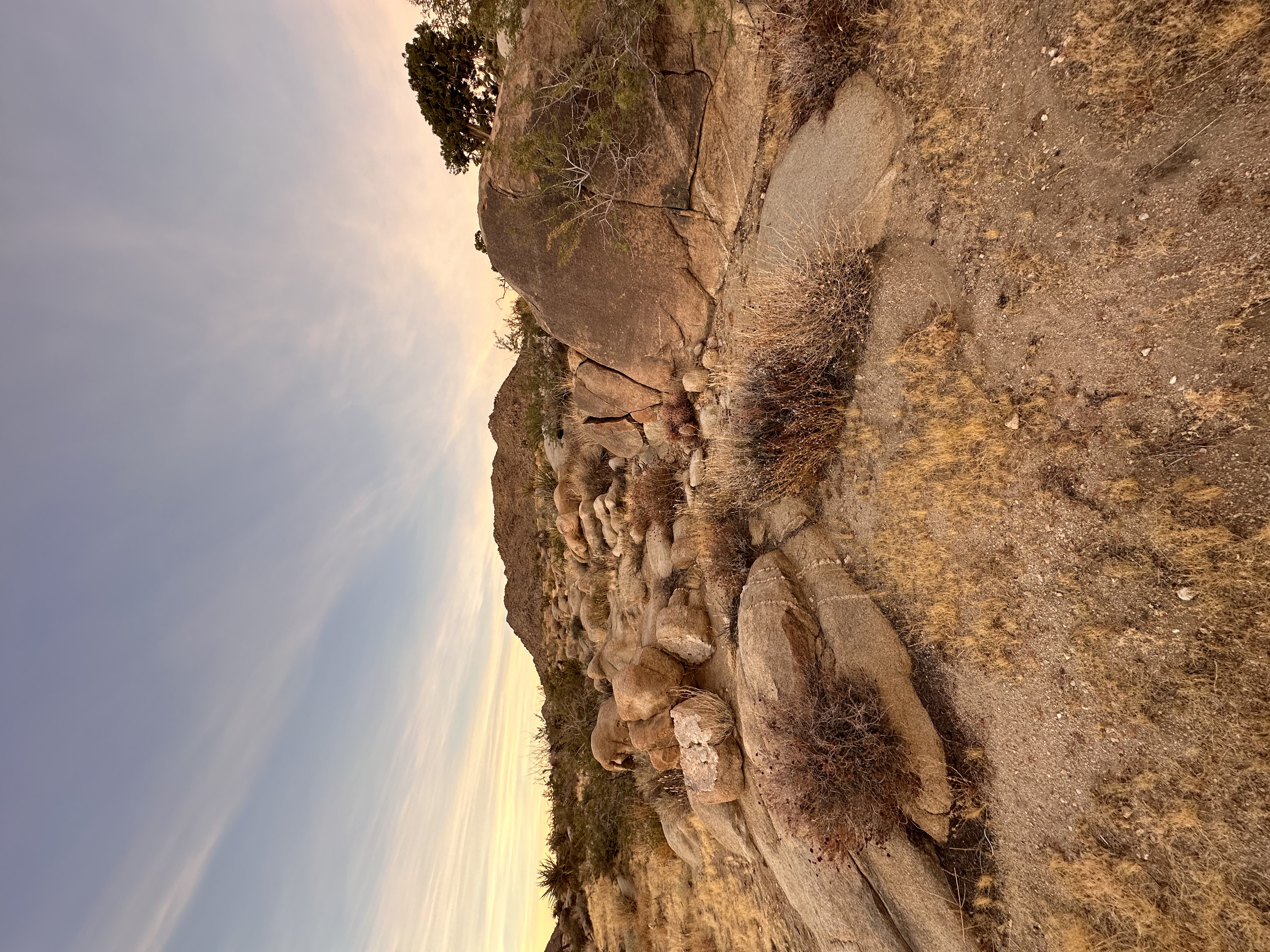 The Sandbox gate at sunset, Joshua Tree